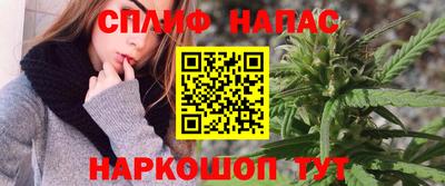 стаф Кунгур
