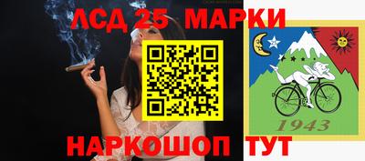 стаф Кунгур