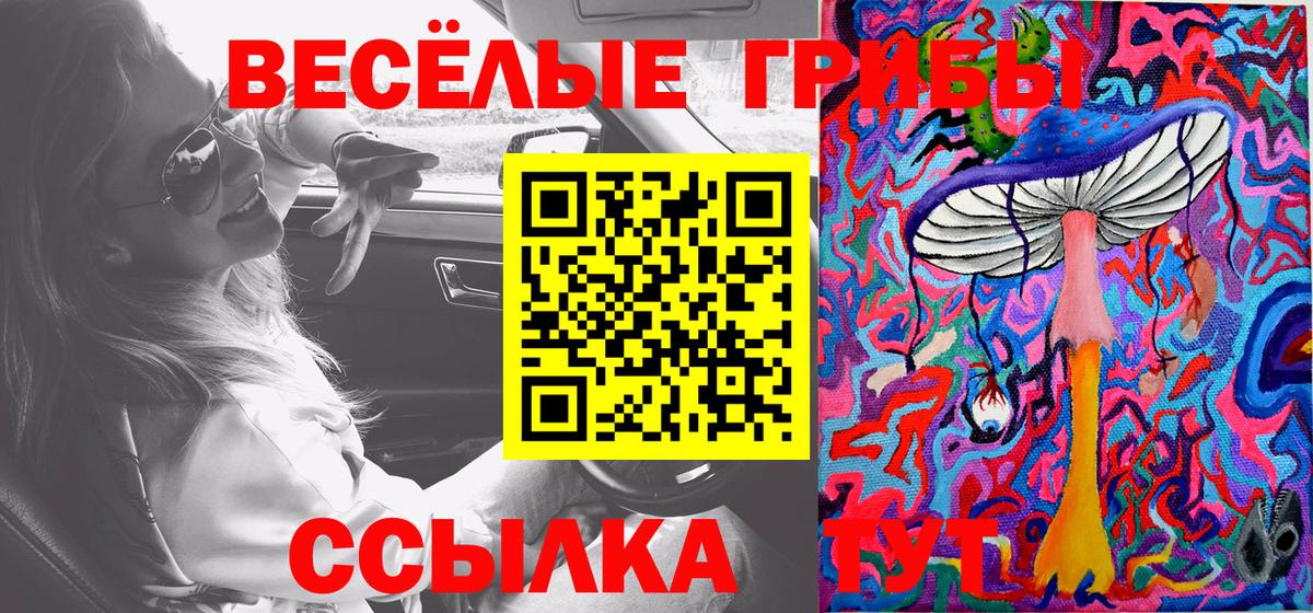 Елец  Псилоцибиновые грибы мицелий  Вход с VPN  Галлюциногенные грибы Psilocybine cubensis 
